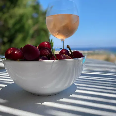 Luxurious Villa Oasis In Paros