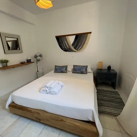 Luxurious Villa Oasis In Paros
